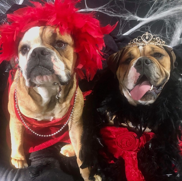 Profile Picture of Jennifer Fintel (@fintel79) on Poshmark