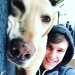 Profile Picture of Timothy Hollom (@timmy_hollom) on Instagram