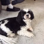 Profile Picture of Colin Carnegie (@colin.carnegie.5) on Facebook