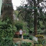 Profile Picture of Antonio De La Roca (@tony_roca) on Instagram