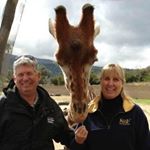 Profile Picture of David Sapper (@sapperdavid) on Instagram