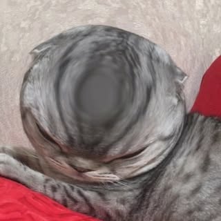 Profile Picture of dood (@ralphender) on Instagram