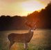 Profile Picture of Alvin Stepp (@alvin.stepp.3) on Facebook