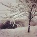 Profile Picture of Peter Helman (@palanhelman) on Pinterest
