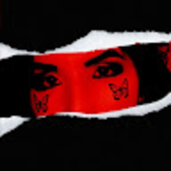 Profile Picture of Harvy obed kelly Alvarez (@harvy2377) on Poshmark