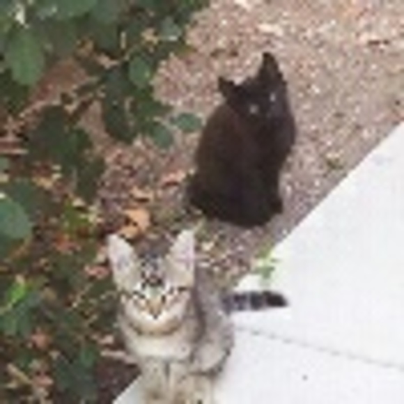 Lyubomir Spasov - Poshmark Profile Picture of Lyubomir Spasov (@bloodwater) on Poshmark