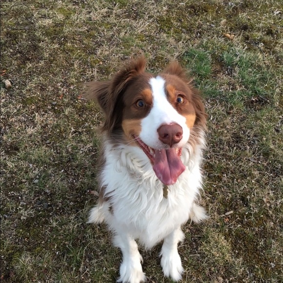 Profile Picture of Ruth Schechtman (@ruthschechtmann) on Poshmark