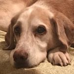 Profile Picture of Makayla Larson (@momo121896) on Instagram