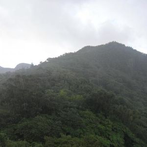 Profile Picture of Amanda Jhonson (@164910293) on Myspace