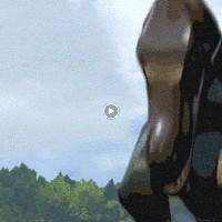 Profile Picture of Sean Nichols (@sean-nichols-33) on Quora