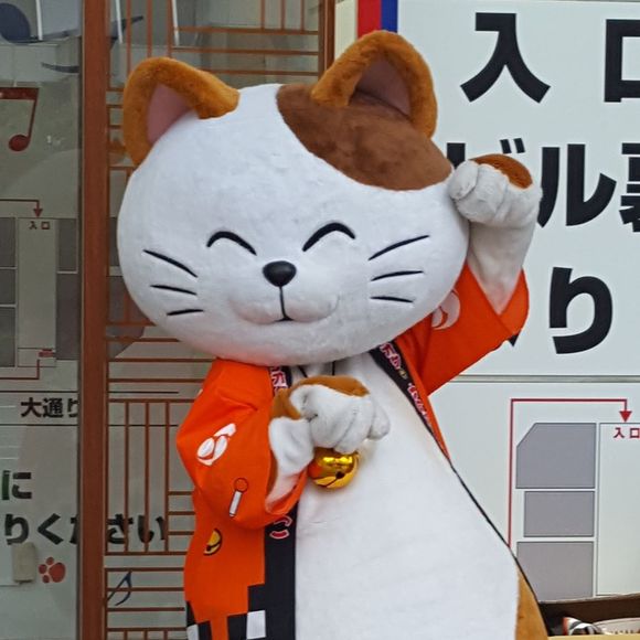 Profile Picture of Lori Allen (@4040lori) on Poshmark