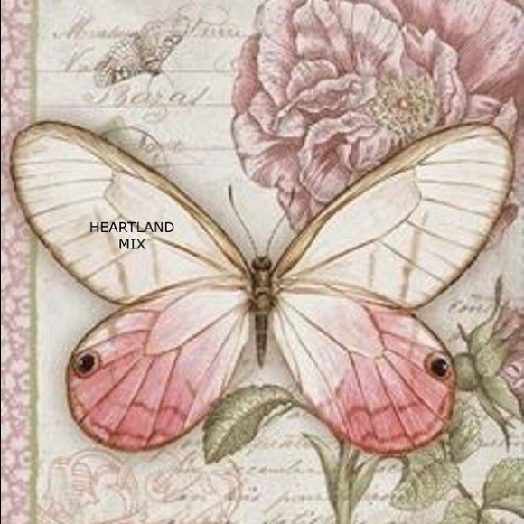 Profile Picture of Fabiola Sandoval (@fabiolasando738) on Poshmark