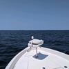 Profile Picture of skeeter23 (@scottgable1) on Tiktok