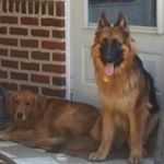 Profile Picture of Dan Chalker (@danchalker) on Instagram