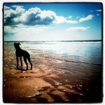 Profile Picture of Laura Clarkson (@laclarkson) on Instagram