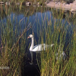 Profile Picture of Kathy A Coghlan (@kat52c) on Myspace