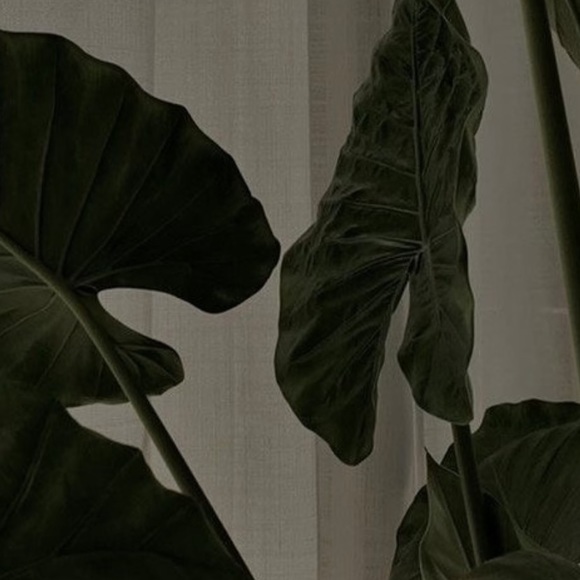 Profile Picture of Kensley Godbee (@kensley_godbee) on Poshmark