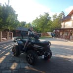 Profile Picture of Mirel Gordon (@Mirel-Gordon) on Facebook