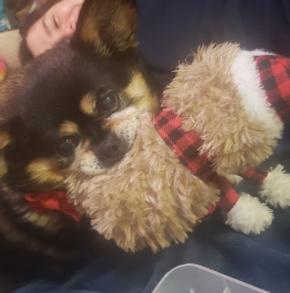 Profile Picture of Brandee Van alstine (@alicedeelite) on Poshmark