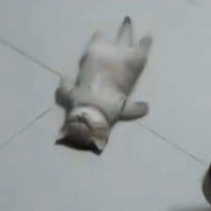 Profile Picture of jerveyy (@jerveyy_) on Tiktok