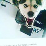 Profile Picture of Stephen Cabinbin Rasonable (@rasonablestephen) on Instagram