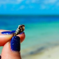 Profile Picture of Erina Izutsu (@erina-izutsu) on Quora