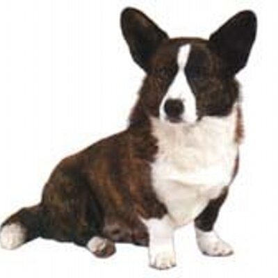 Sarah Esser - Twitter Profile Picture of Sarah Esser (@Prof_Higgins) on Twitter