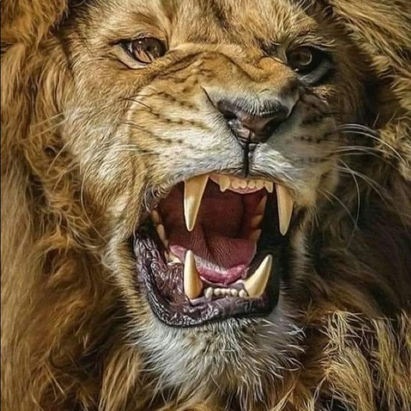 Profile Picture of Lazaro Gonzalez (@lpgonzalez399) on Poshmark