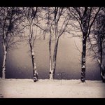 Profile Picture of Alex Goldsmith (@meyergoldsmith) on Instagram