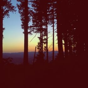 Profile Picture of Marcos Soto (@marcossoto505) on Pinterest