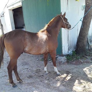 Profile Picture of Guillermo Pereira (@guillermo.pereira.7315720) on Facebook