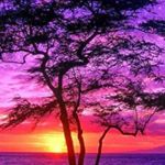 Profile Picture of kevin hird (@kevin_hird) on Instagram