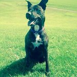 Profile Picture of Brian Goodwin Jr. (@brian.goodwin.3348) on Instagram