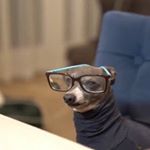 Profile Picture of Danny Lacasse (@exori393) on Instagram