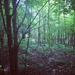 Profile Picture of Joannie Messier Riopel (@joannie_little.cowboy) on Instagram