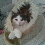 Profile Picture of Stephanie Vanoni (@sobeth7) on Instagram