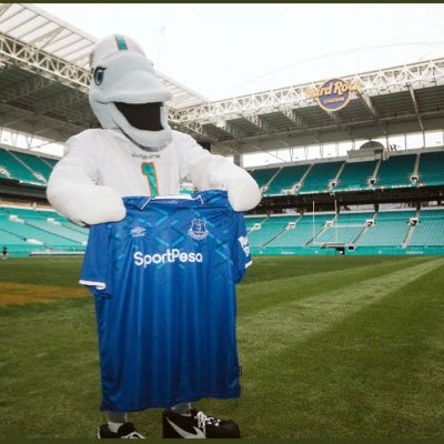 Profile Picture of DolphinsVoice/NSNO/CanesFam/TheU Team Frank Gore (@voice255) on Twitter