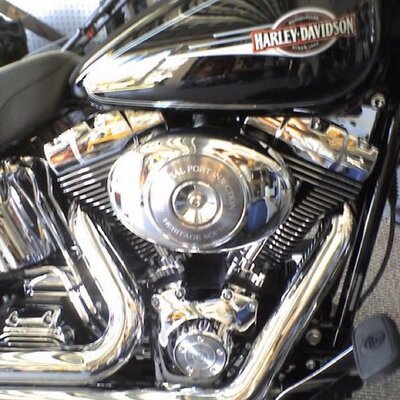 Profile Picture of Tom Dammann (@tdammann) on Twitter