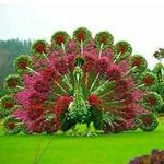 Profile Picture of Janice DiPietro (@dipietrojanice) on Instagram