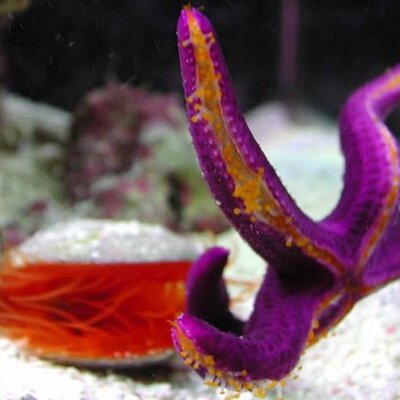 Profile Picture of Joe Backman (@joebackman1) on Twitter