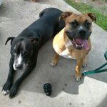 Profile Picture of Brad Hartung (@bradhartung) on Instagram