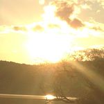 Profile Picture of Gerard Macioci (@richdragon123) on Instagram