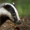 Profile Picture of Lambert Reinds (@Lambert Reinds) on Flickr