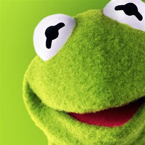 Profile Picture of Kermit frog toe pics backup (@croporflop.com) on Tiktok