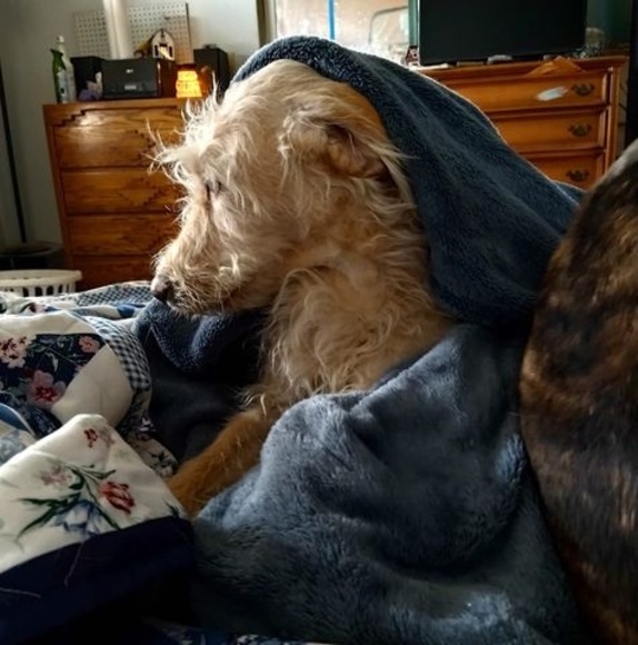 Profile Picture of Ann Lavertu (@lavertuann) on Poshmark