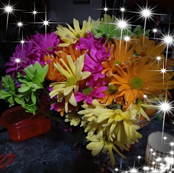 Profile Picture of Virginia Yeatts (@jus4dee75) on Poshmark