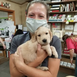 Profile Picture of Dr. Lisa Jones (@lisa.jones.dvm) on Instagram