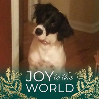 Profile Picture of Nancy DarrWade (@nancy.darrwade) on Facebook