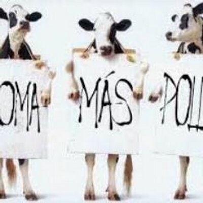 Profile Picture of MARIANA ALPIZAR (@mary28ana) on Twitter