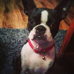 Profile Picture of Michael Ruelas (@m_a_ruelas) on Instagram